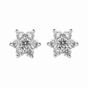 18ct White and Yellow Gold Diamond Cluster Stud Earrings