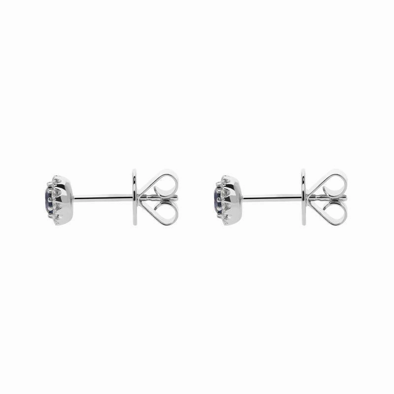 18ct White Gold 0.23ct Sapphire Diamond Halo Earrings