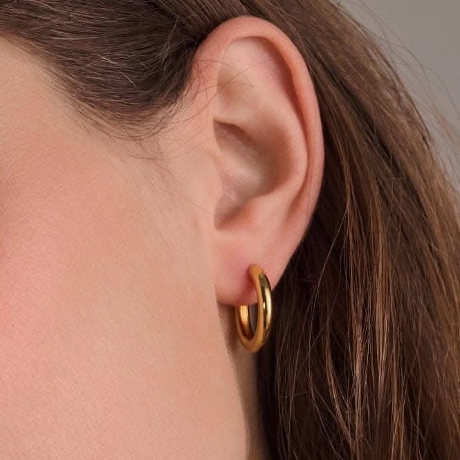 18k Gold Plated Carrara Pianura Medio Earrings SJ-E2471-YG
