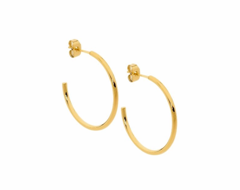 20mm Hoop Earrings - 3 colours