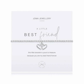 A Little Best Friend Silver 17.5cm Bracelet 4085