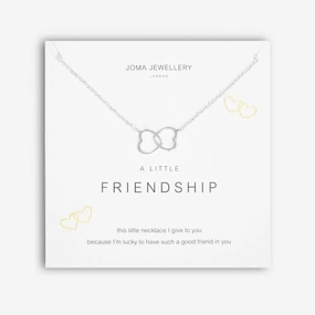 A Little Friendship Silver 46cm   5cm Extender Necklace 5275