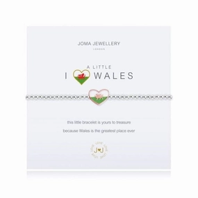 A Little I Love Wales Bracelet 2879