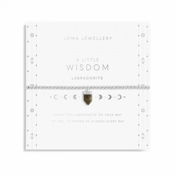 Affirmation Crystal A Little 'Wisdom' Bracelet 5677