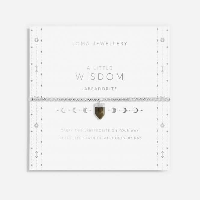 Affirmation Crystal A Little 'Wisdom' Bracelet 5677