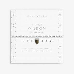 Affirmation Crystal A Little 'Wisdom' Bracelet 5677