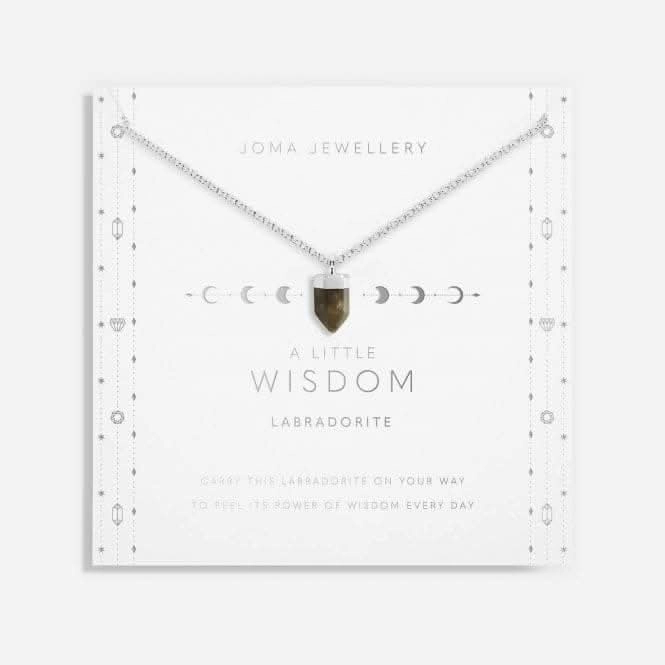 Affirmation Crystal A Little 'Wisdom' Necklace 5680