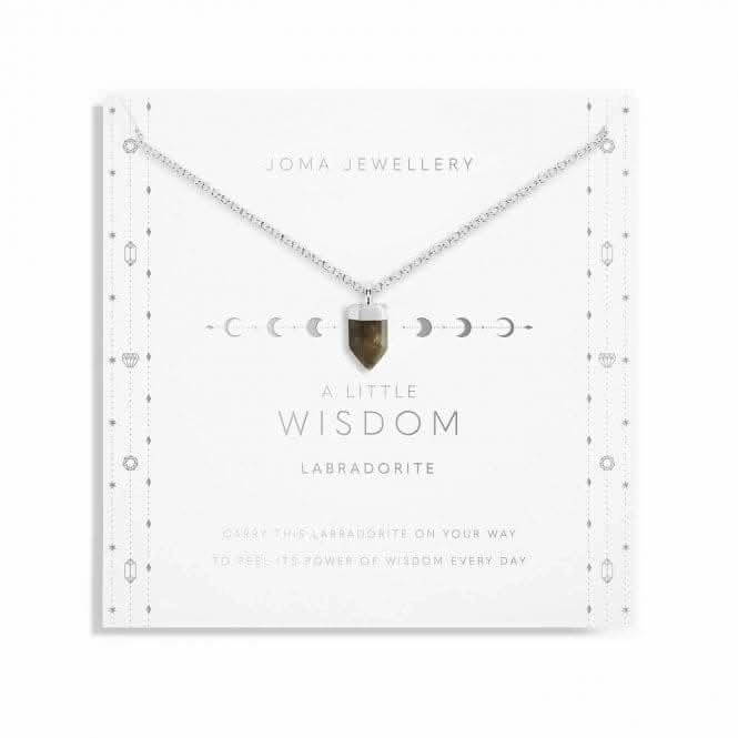 Affirmation Crystal A Little 'Wisdom' Necklace 5680