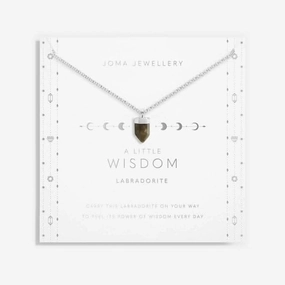 Affirmation Crystal A Little 'Wisdom' Necklace 5680