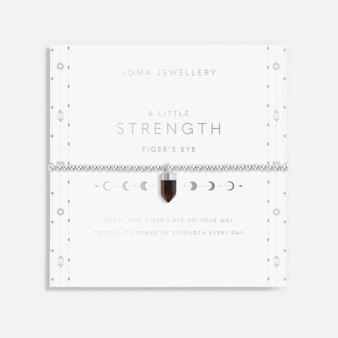 Affirmation Crystal Strength Tiger's Eye Silver 17.5cm Bracelet 6148