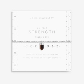 Affirmation Crystal Strength Tiger's Eye Silver 17.5cm Bracelet 6148