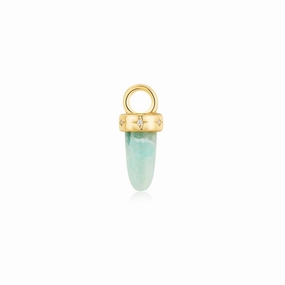 Ania Haie Gold Amazonite Drop Earring Charm EC055-03G