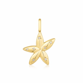 Ania Haie Gold Sparkle Flower Charm NC055-05G
