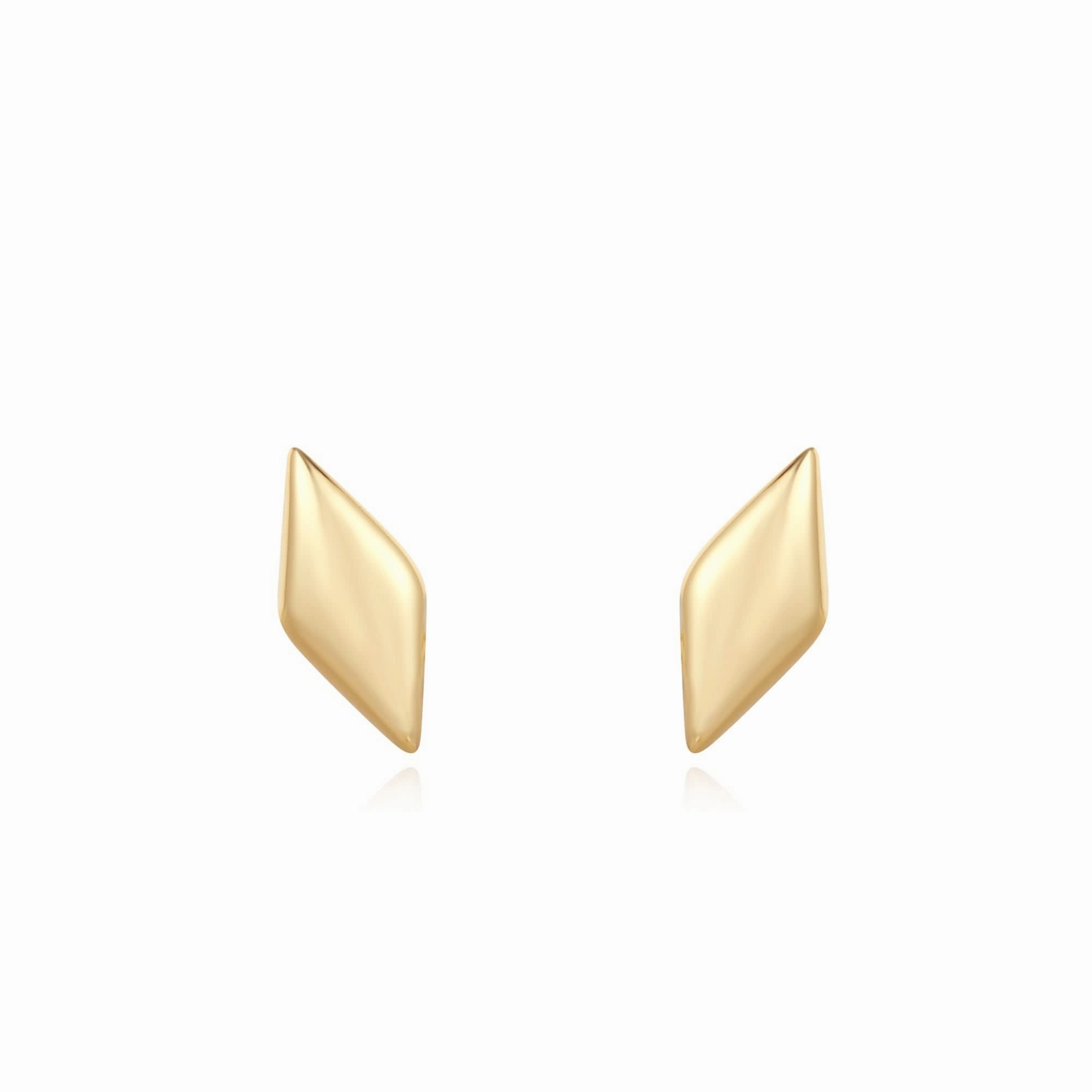 Ania Haie Gold Sparkle Studs E061-02G