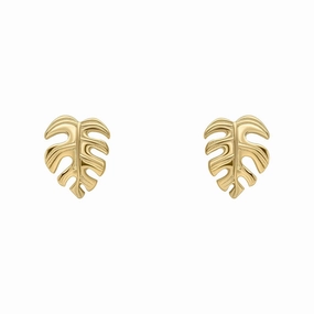 Beginnings Sterling Silver Earrings E6500
