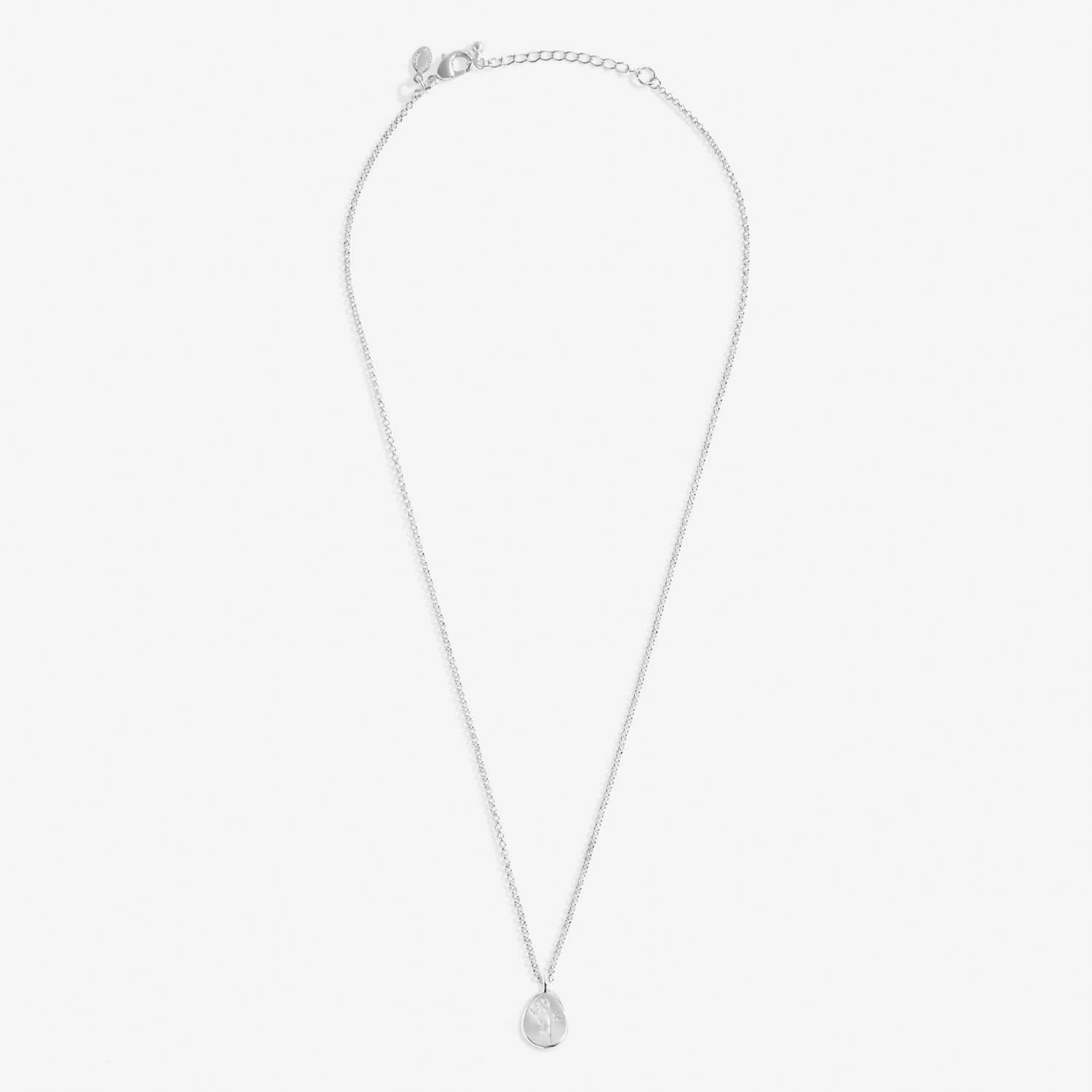 Birth Flower A Little October Cosmos Silver Plated Necklace 7468