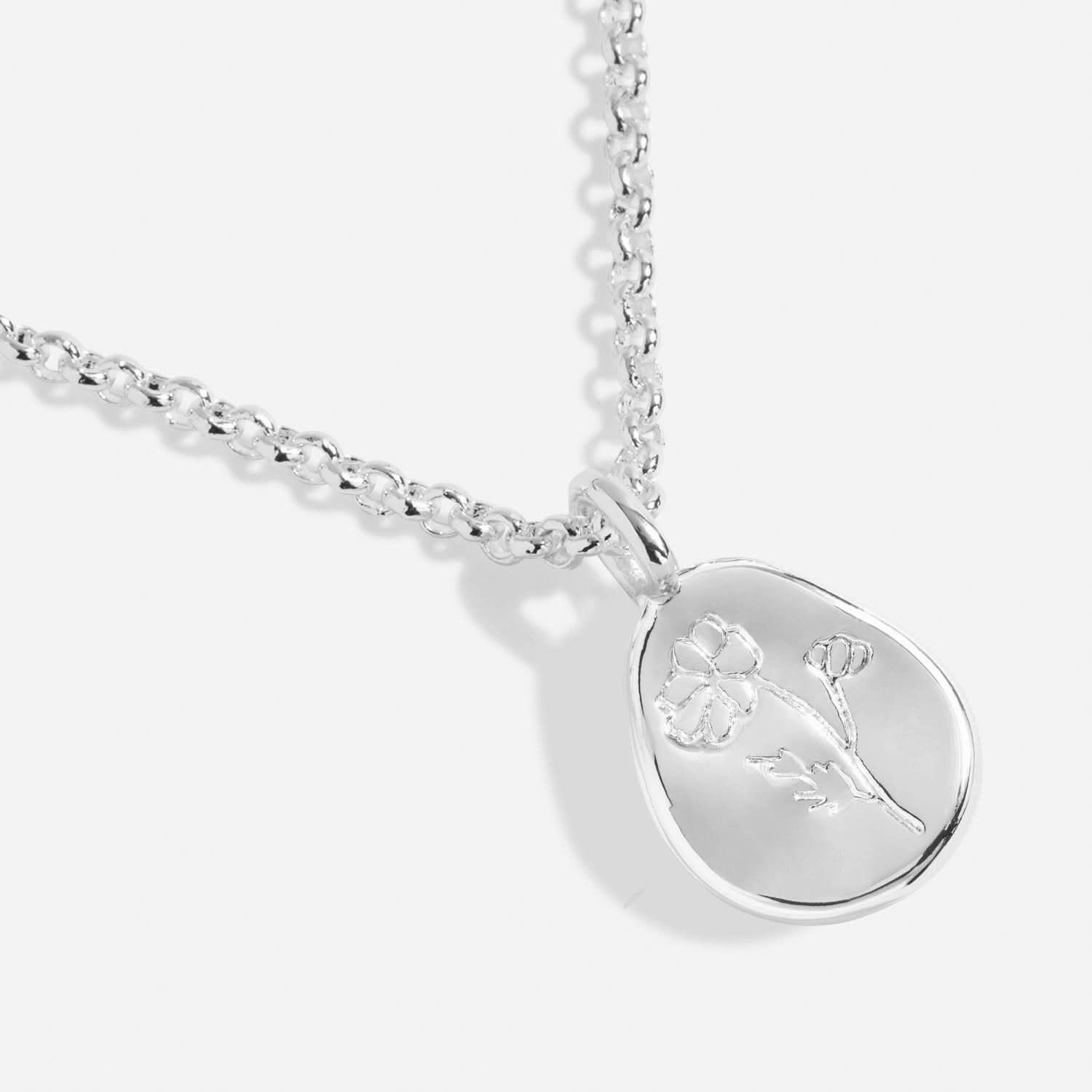 Birth Flower A Little October Cosmos Silver Plated Necklace 7468