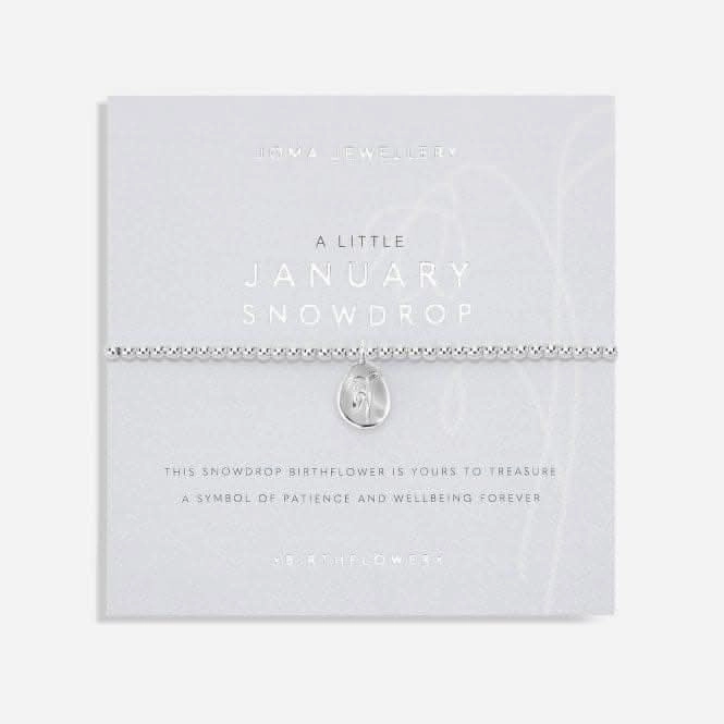 Birthflower A Little 'January' Bracelet 5625