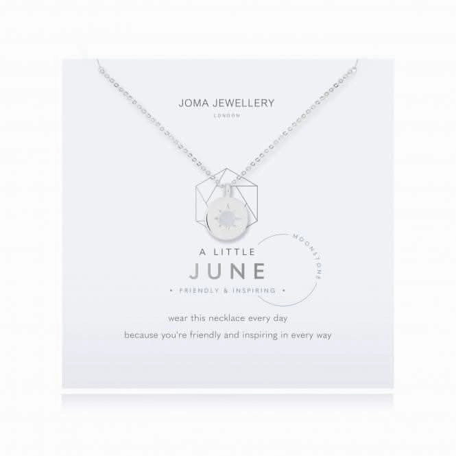 Birthstone a little June Moonstone Necklace 4659
