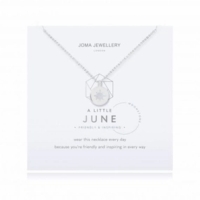 Birthstone a little June Moonstone Necklace 4659