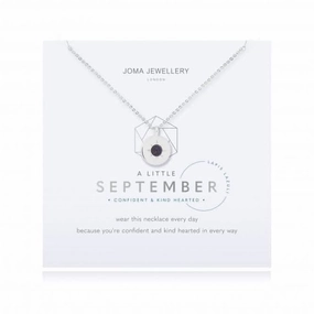Birthstone a little September Lapis Lazuli Necklace 4662