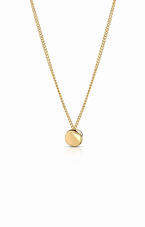 Boh Runga - Baby Kiwi Pendant Gold Plated