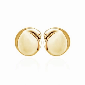 Boh Runga - Gold Plated Kiwi Studs