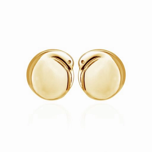 Boh Runga - Gold Plated Kiwi Studs