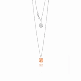 Boh Runga Modern Classic Round Pendant - 9ct Rose Gold