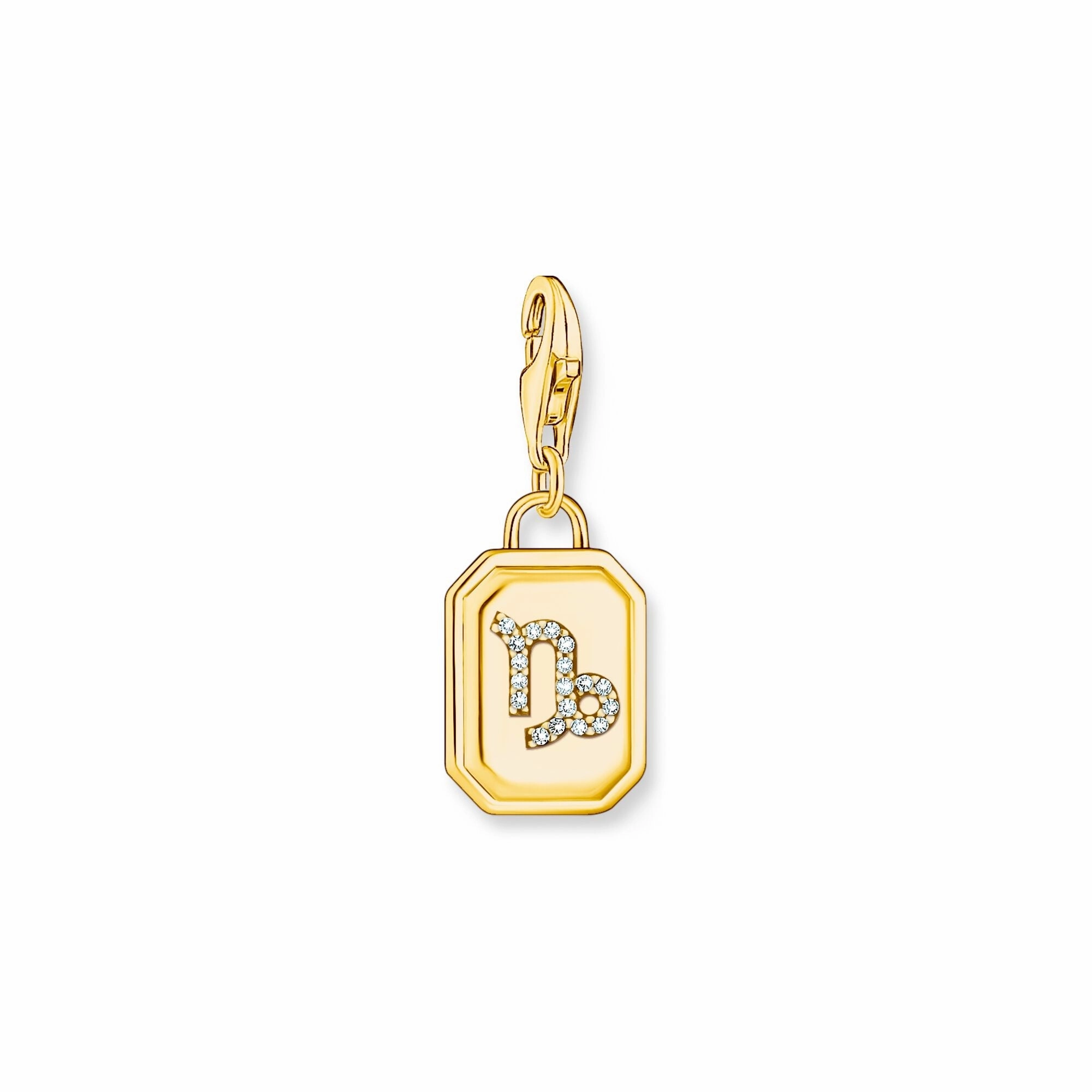 Capricorn Zodiac Sign gold charm Pendant