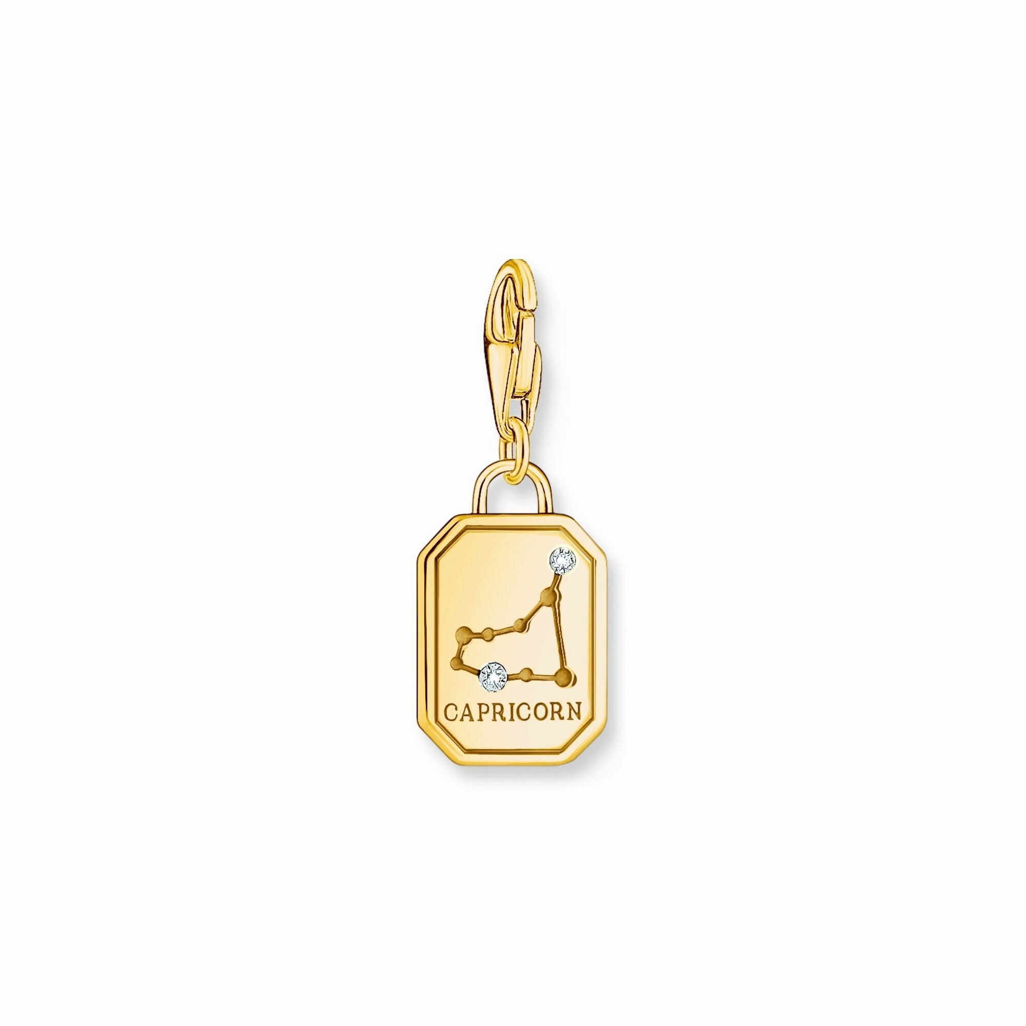 Capricorn Zodiac Sign gold charm Pendant