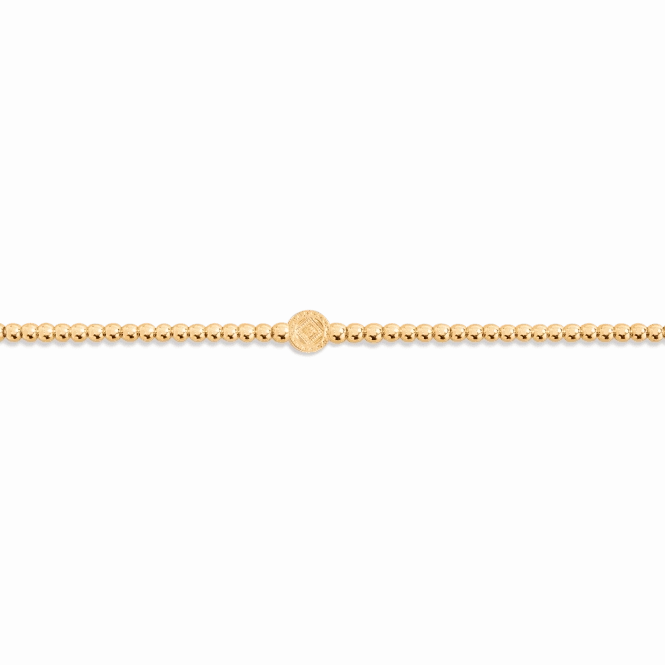 Collect Adventures Dream Explore Discover Gold Plated 17.5cm Bracelet 6783