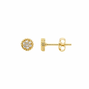 CZ Cluster Dotted Edge YGP Stud Earrings