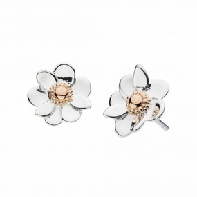 Dew Silver Anemone Flower With Rose Gold Plate Stud Earrings 4084RG024