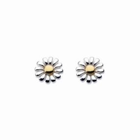 Dew Sterling Silver Dinky Daisy with Gold Plate Stud Earrings 48144GD004