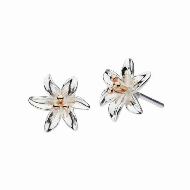 Dew Sterling Silver Tiger Lily with Rose Gold Plate Stud Earrings 4083RG024