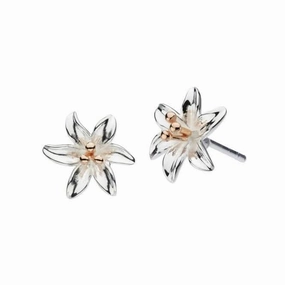 Dew Sterling Silver Tiger Lily with Rose Gold Plate Stud Earrings 4083RG024