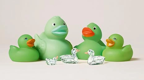Ducks