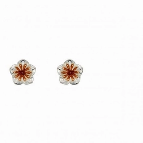 Elements Silver Silver Chrysanthemum Flower Rose Gold Details Earrings E5668