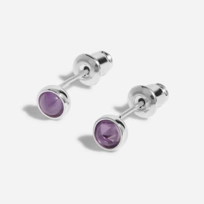 February Birthstone Boxed Earrings 5529