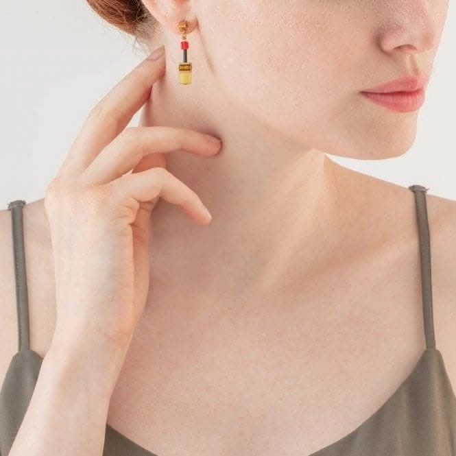 GeoCUBE Iconic Multicolour Indian Summer Earrings 2838/21-1585