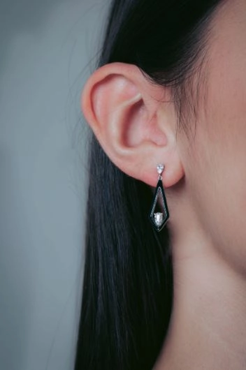Georgini - Reflection Evoke Earrings Silver & Black Earrings