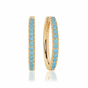 Gold Plated Ellera Grande Earrings SJ-E2869-TQ-YG