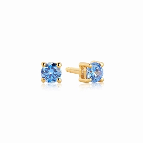 Gold Plated Princess Piccolo Earrings SJ-E3MMRD-BLN-YG