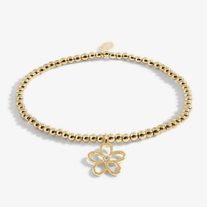 Golden Glow A Little Lovely Daughter Gold 17.5cm Bracelet 5952