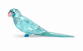 Jungle Beats Blue Parakeet Paco Blue