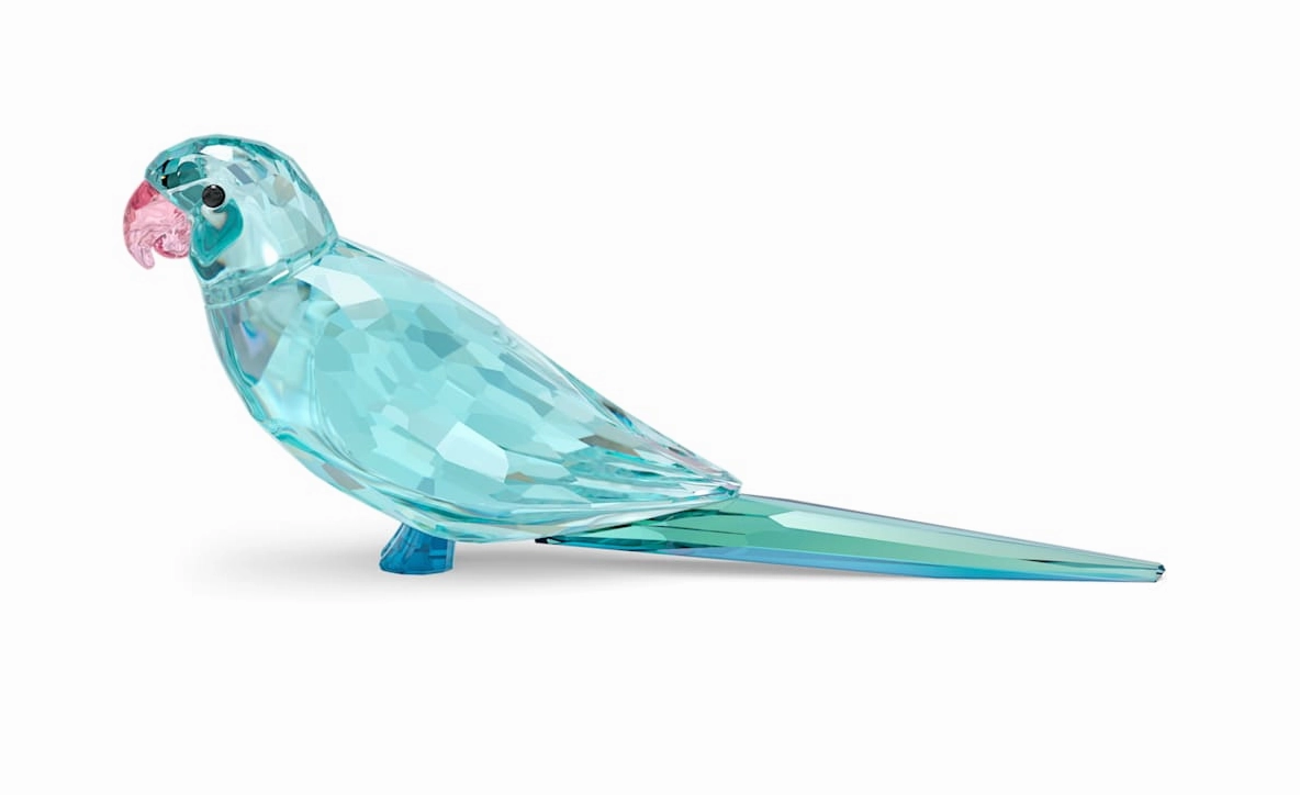 Jungle Beats Blue Parakeet Paco Blue