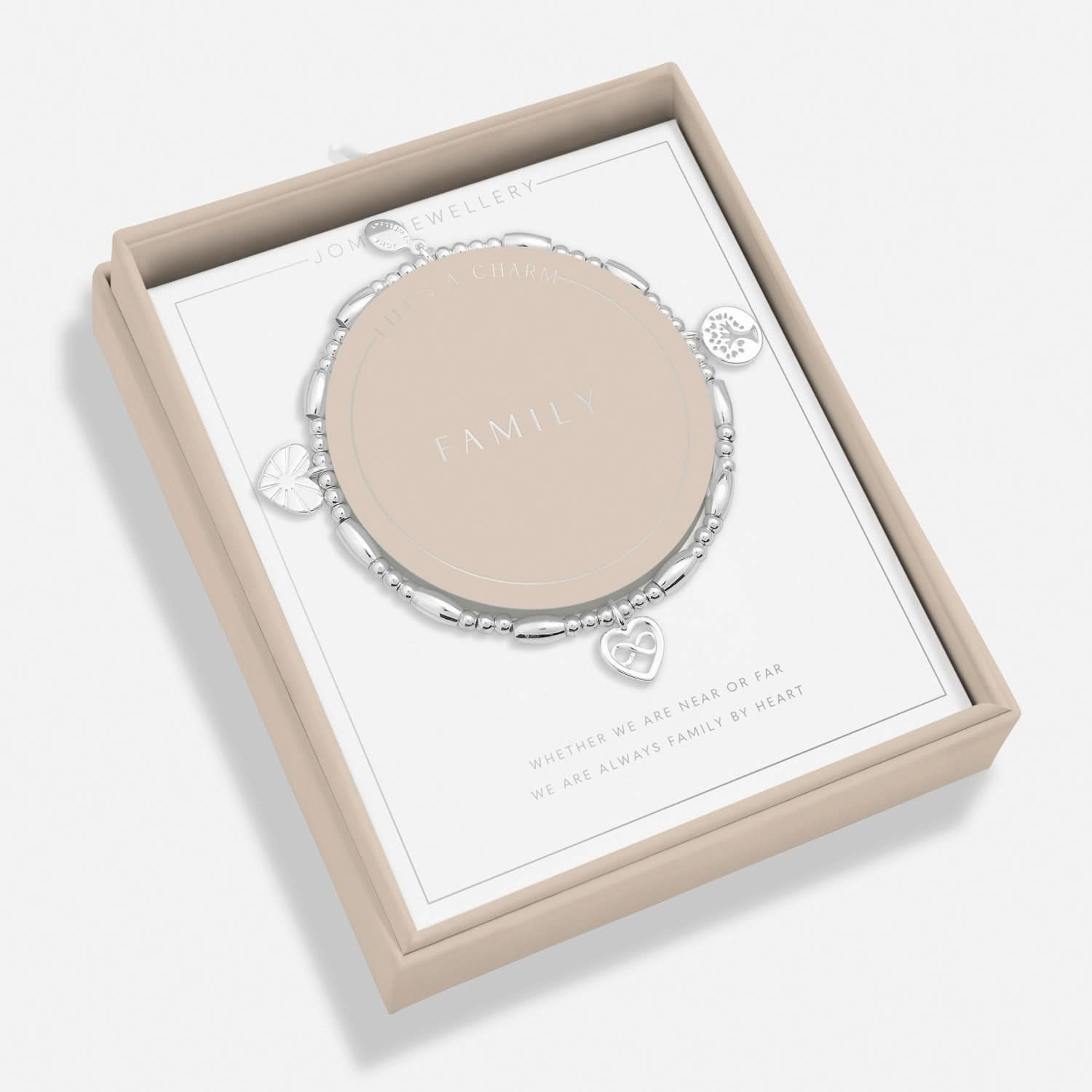 Lifes A Charm Family Silver Plated Bracelet 7857