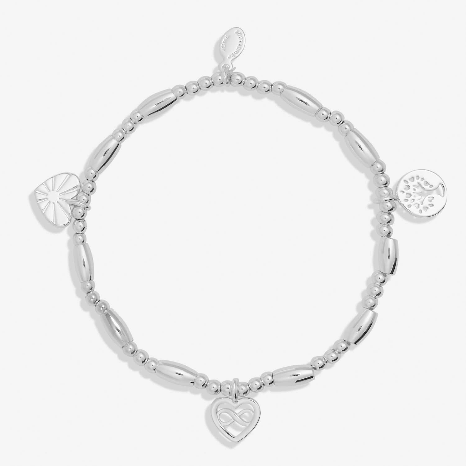 Lifes A Charm Family Silver Plated Bracelet 7857