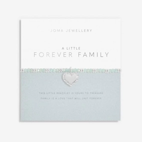 Live Life In Colour Forever Family Silver And Green 17.5cm Bracelet 6225